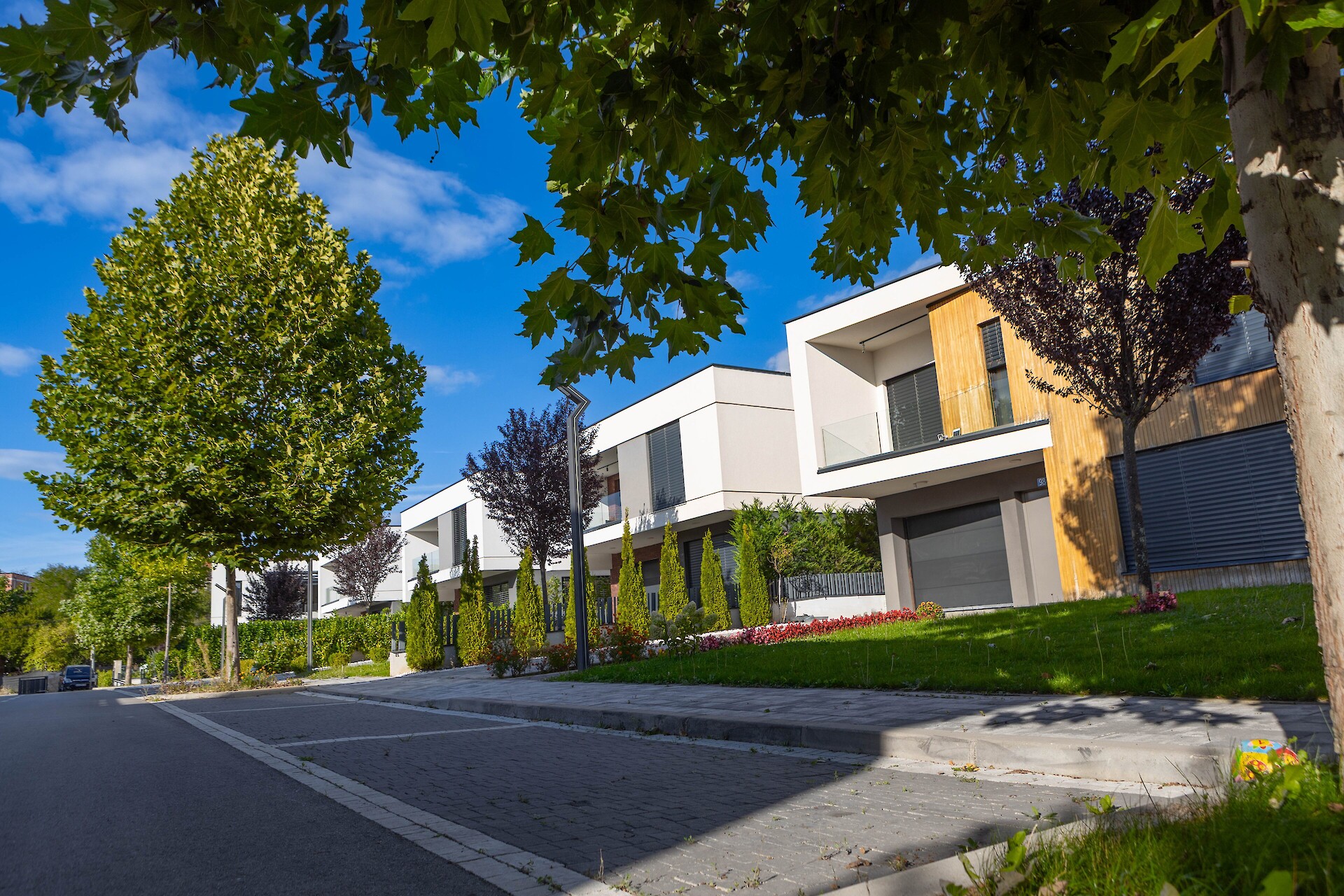 Golden Neighborhood